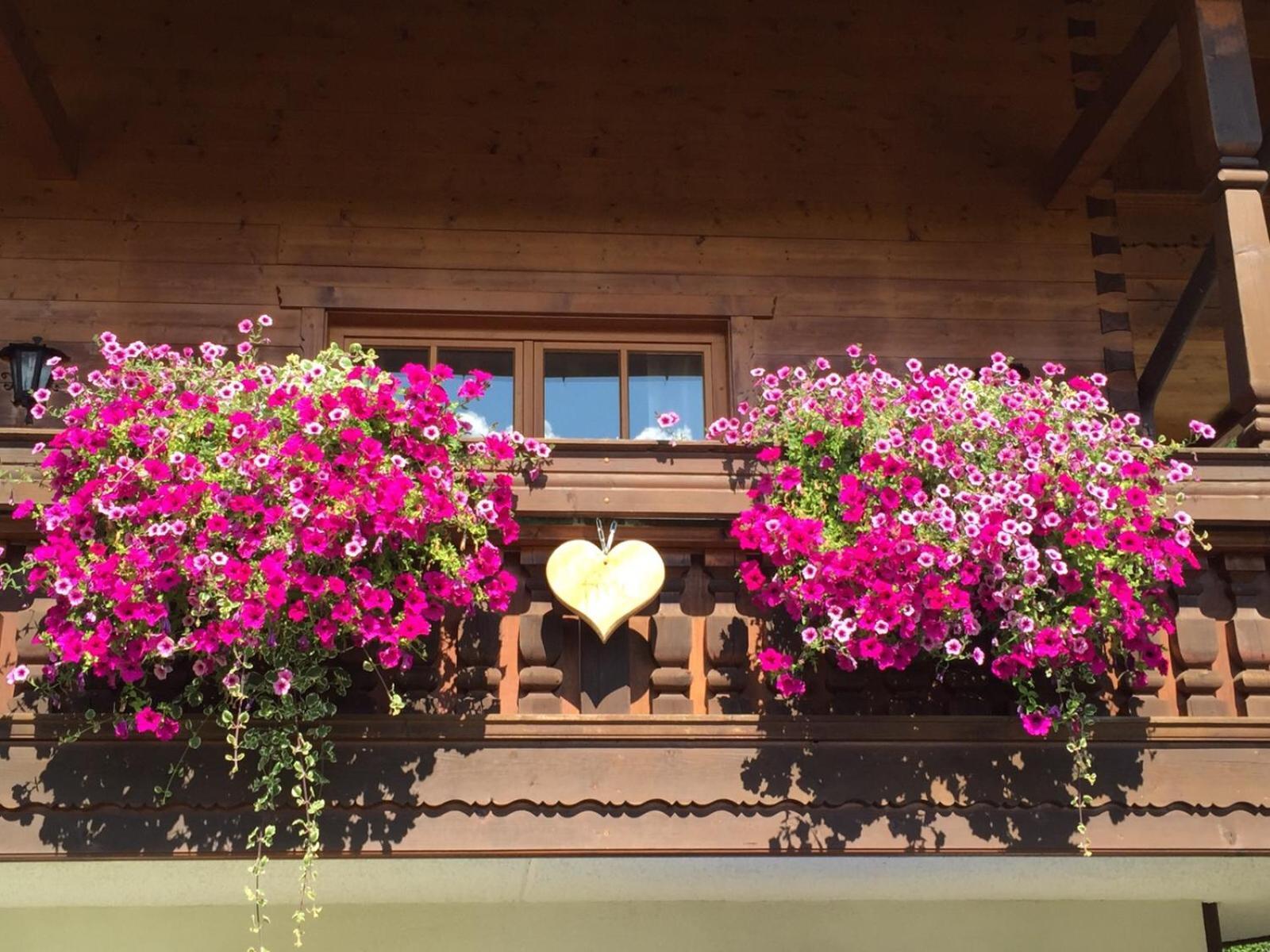 Haus Am Wiesbach Reit im Winkl Bagian luar foto